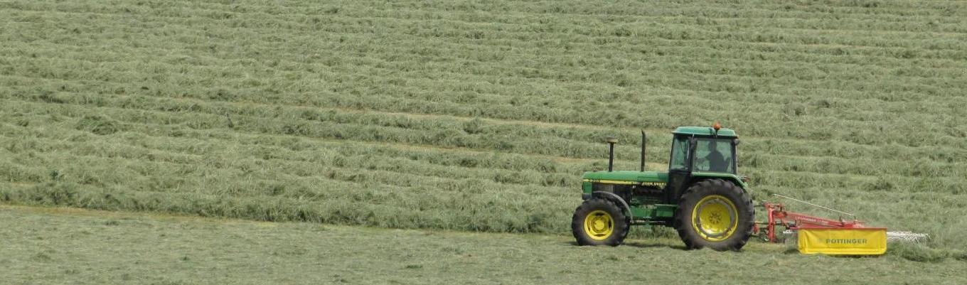 Fauche de prairie Ariane Dupéron 6