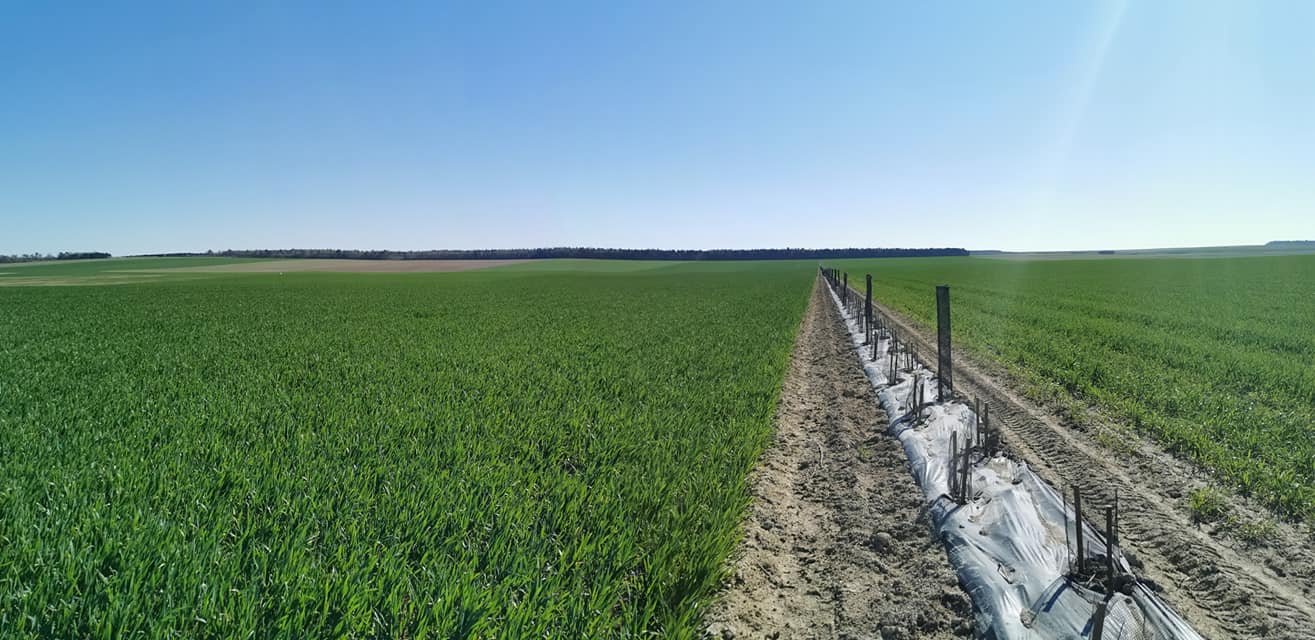 Haie reliant le bois et la ripisylve ©ReNArd